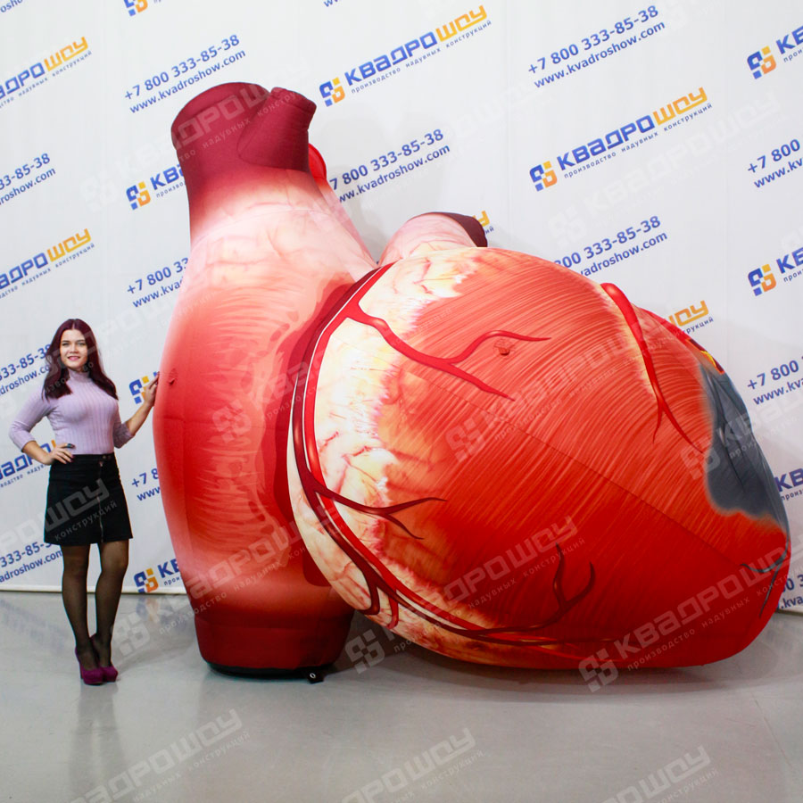 Надувное сердце человека 3м