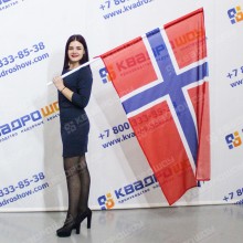 Государственный флаг Исландии