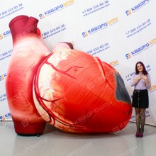 Надувная конструкция сердце человека