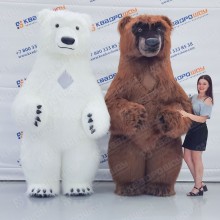 Надувной костюм Медведя для поздравительного бизнесса