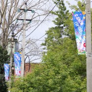 Фонарные флаги усеченные для Дня города