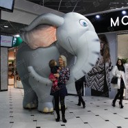 Живая реклама Слон