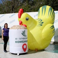 Надувная курица для рекламы комбикорма