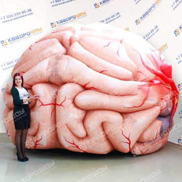 Надувной человеческий мозг 3м