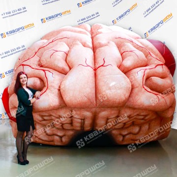 Пневмофигура человеческий мозг 3м