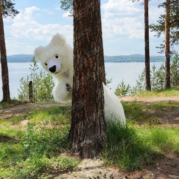 Надувной медведь в лесу